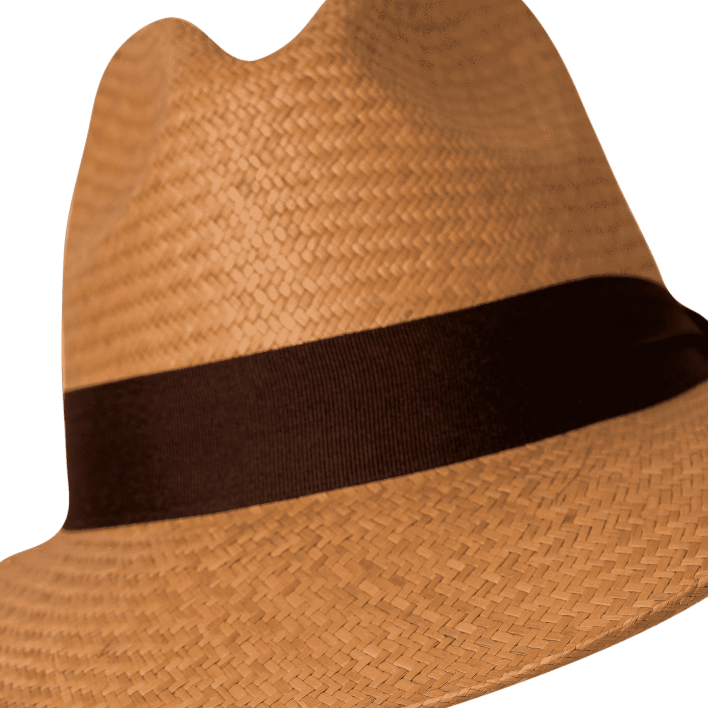 sombrero-aguadeno-borsalino-detalle-cafe